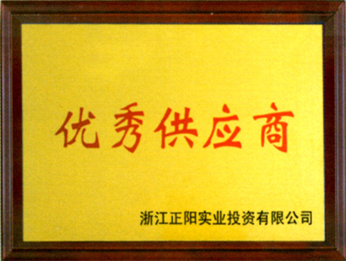 浙江正陽實(shí)業(yè)投資優(yōu)秀供應(yīng)商